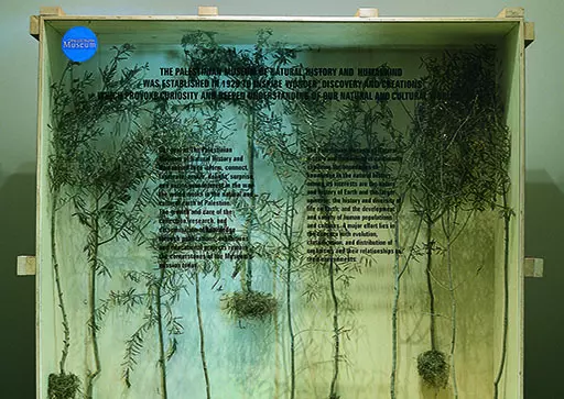Olive Gathering de Khalil Rebah, Dream projects, Festival Dream City 2023, Tunis.