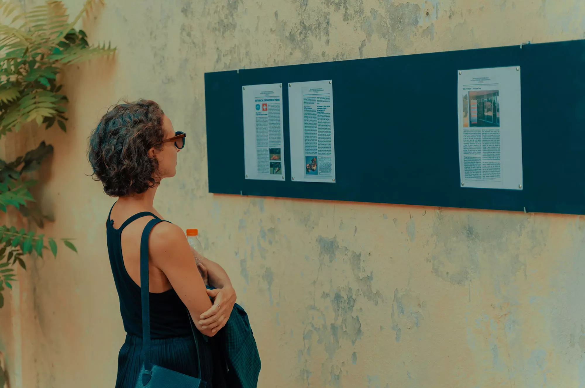 Olive Gathering de Khalil Rebah, Dream projects, Festival Dream City 2023, Tunis.