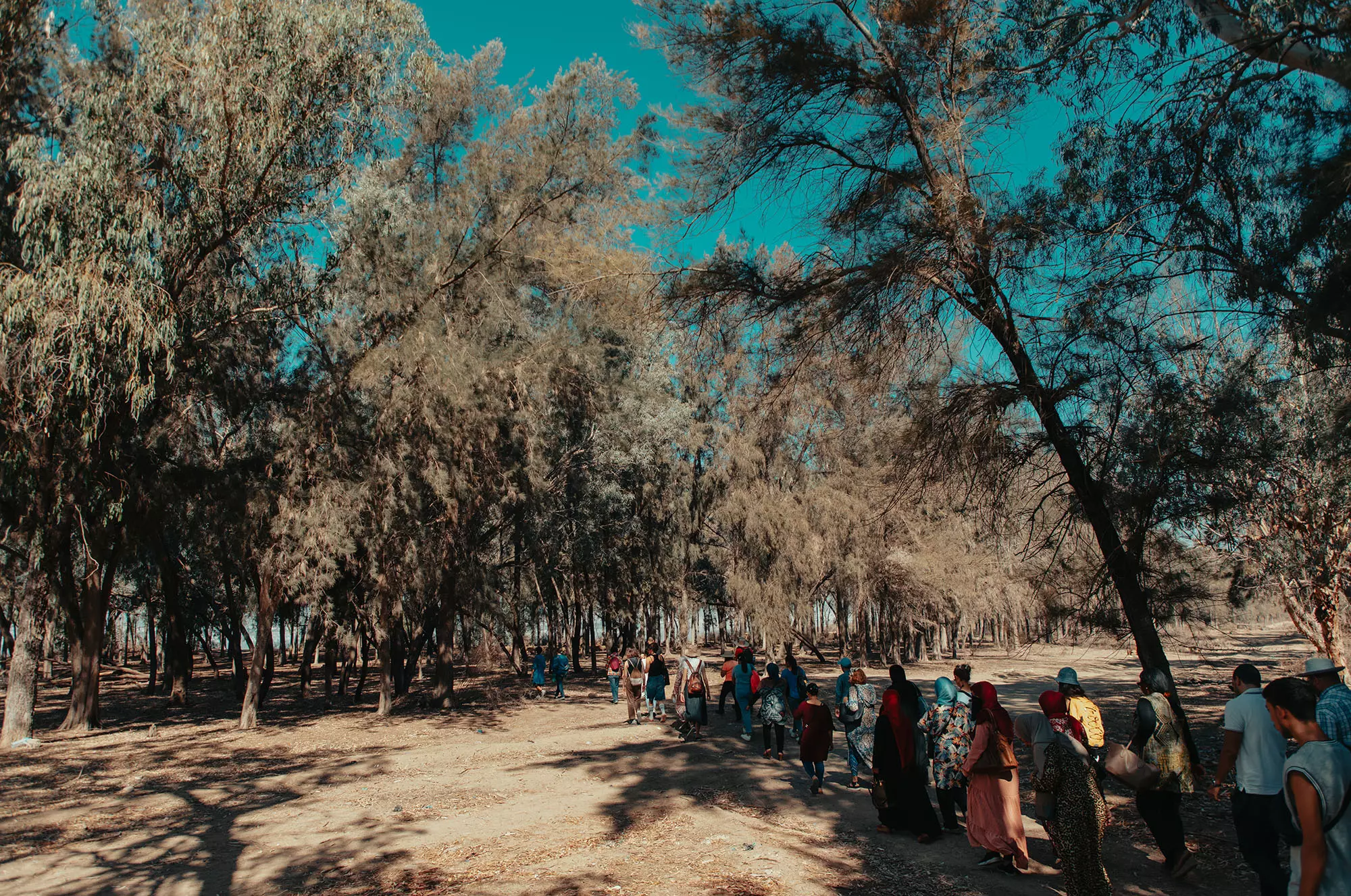 Un pacte avec les eaux - La mise en commun avec Sejoumi de Natural Contract Lab, Créations, Festival Dream City 2023, Tunis.