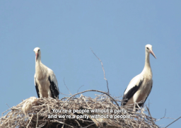 As Birds Flying Heba Y. Amin Dream City x Kanal