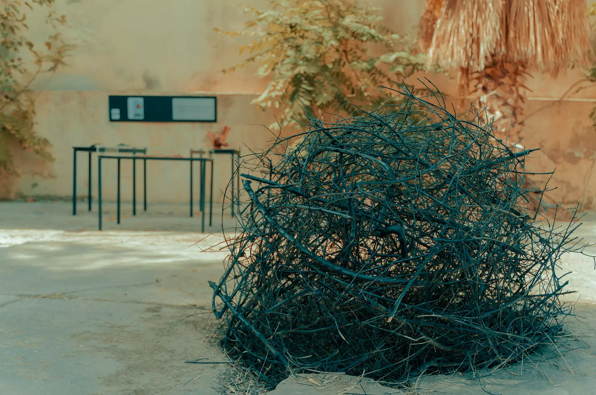 Olive Gathering de Khalil Rebah, Dream projects, Festival Dream City 2023, Tunis.